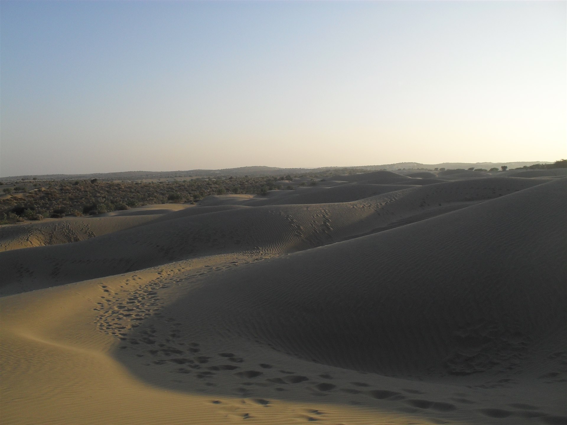 Rolling sand dunes inside Desert National Park near Jaisalmer